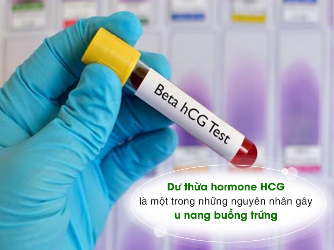 Du-thua-hormone-HCG-duoc-xem-la-mot-trong-nhung-nguyen-nhan-gay-u-nang-buong-trung.webp
